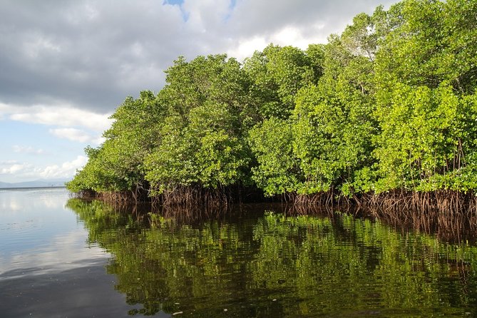 Nusa Lembongan Island: Snorkeling & Mangrove Forest Day Tour - Snorkeling in clear water with coral and fish