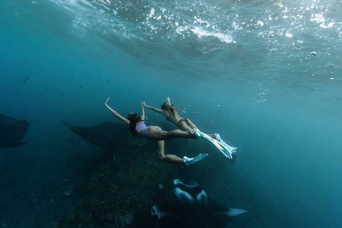 ️Nusa Penida by Private Boat - Snorkeling 4 spots, Swim with Mantas + Land Tour - Manta Rays Set the Pace for This Nusa Penida Day