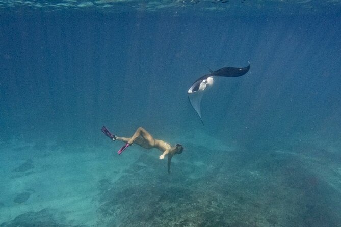 Nusa Penida day trip: boat, 4 snorkeling, Manta rays & Land tour - Four snorkel stops make this a full ocean day