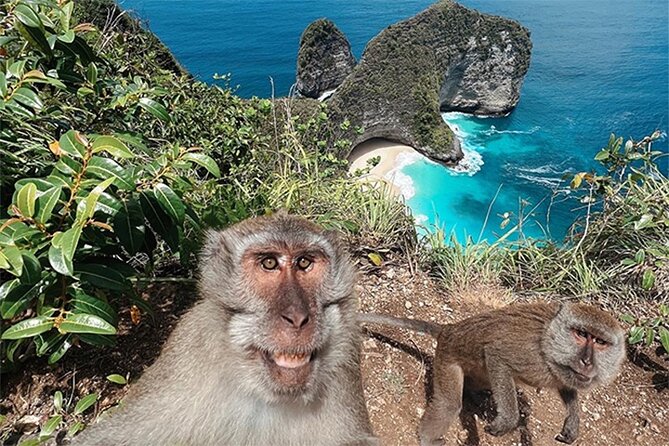 Nusa Penida day trip: boat, 4 snorkeling, Manta rays & Land tour - Lunch at the infinity pool is a useful pause