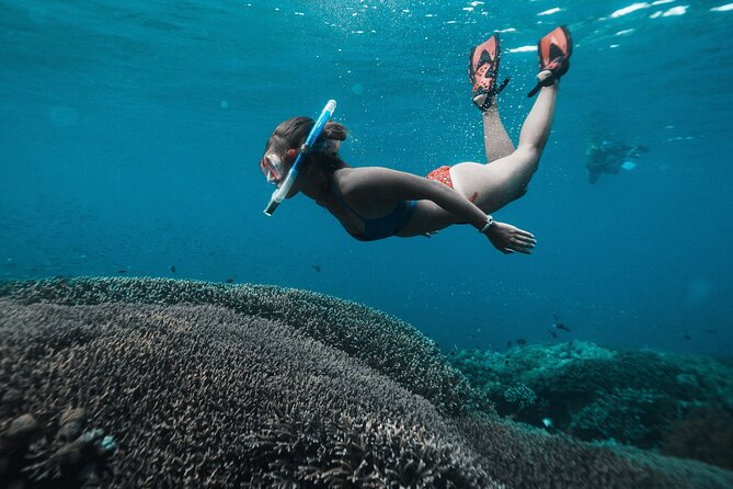 Nusa Penida day trip: boat, 4 snorkeling, Manta rays & Land tour - Mangrove Point brings the first drift snorkel