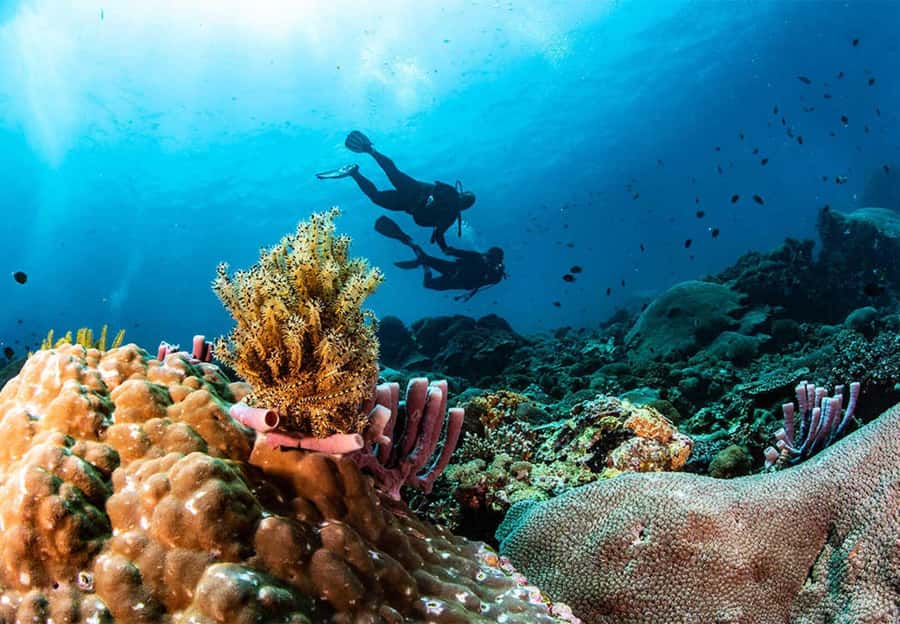Nusa Penida: Full-Day Guided Snorkeling & Island Tour - Key points before you book