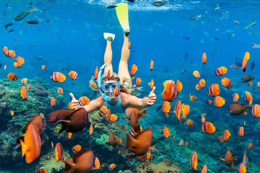 Nusa Penida: Full-Day Guided Snorkeling & Island Tour - Three bays, one weather-dependent plan