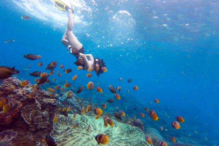 Nusa Penida: Full-Day Guided Snorkeling & Island Tour - Timing problems and how to protect your day