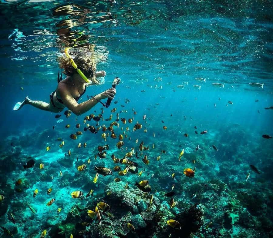 Nusa Penida: Full-Day Guided Snorkeling & Island Tour - What the Sanur to Nusa Penida crossing feels like