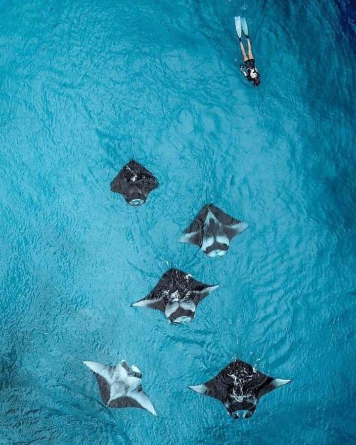 Nusa Penida: Full Day Private Snorkeling With Manta Ray - Crystal Bay brings calmer water and turtles