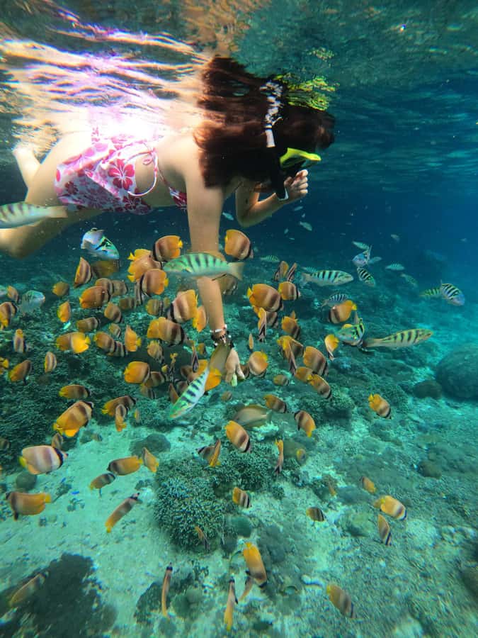 Nusa Penida: Full Day Private Snorkeling With Manta Ray - Toyapakeh Wall adds a dramatic reef edge