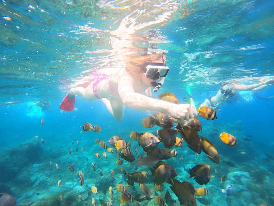 Nusa Penida: Full Day Private Snorkeling With Manta Ray - Lunch, showers, and the practical finish