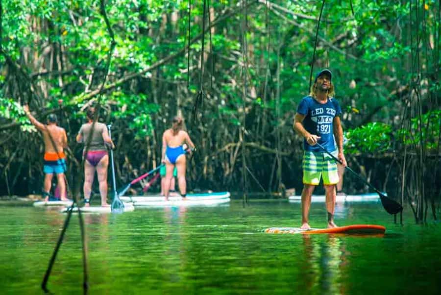 Nusa Penida: Snorkel 3 Spots w/ GoPro & Mangrove Paddle Tour - Is $16 good value?