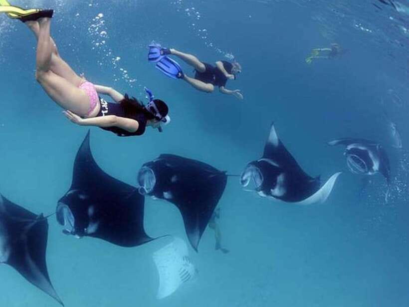 Nusa Penida: Snorkeling 3-4 spots and island tour with guide - Key points before you book