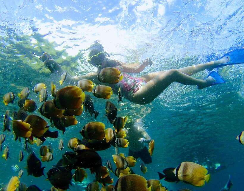 Nusa Penida: Snorkeling 3-4 spots and island tour with guide - The guide team adds real value