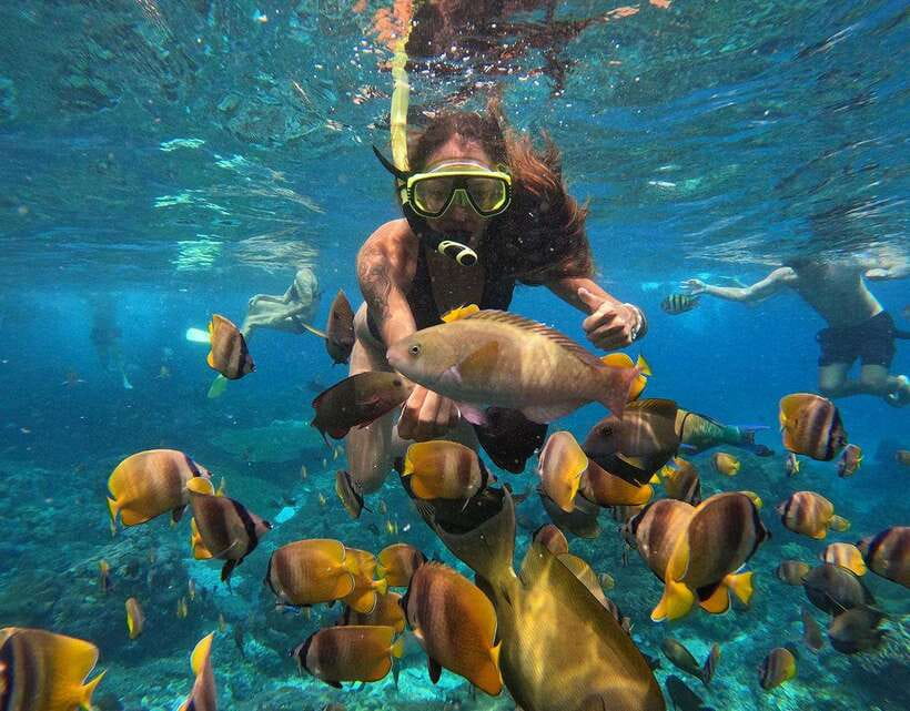 Nusa Penida: Snorkeling 3-4 spots and island tour with guide - What the $10 price really means