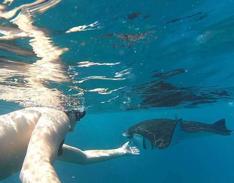 Nusa Penida: Snorkeling 3-4 spots and island tour with guide - Timing, meeting points, and what to pack