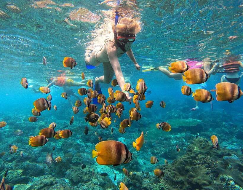 Nusa Penida: Snorkeling 3-4 spots and island tour with guide - Should you book the Nusa Penida snorkeling tour?