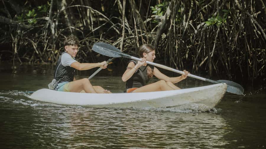 Nusa Penida: Snorkeling 3 Spots with GoPro & Kayak Mangroves - One quiet hour at Mangrove Point