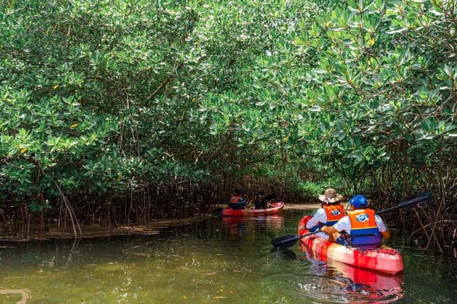 Nusa Penida: Snorkeling 3 Spots with GoPro & Kayak Mangroves - Weather, seasickness, and safety
