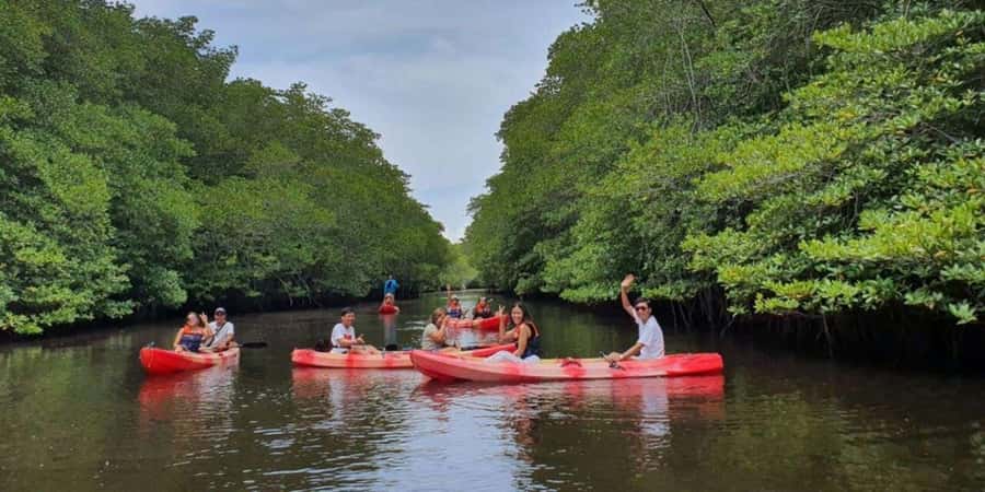 Nusa Penida: Snorkeling 3 Spots with GoPro & Kayak Mangroves - Who will enjoy this most