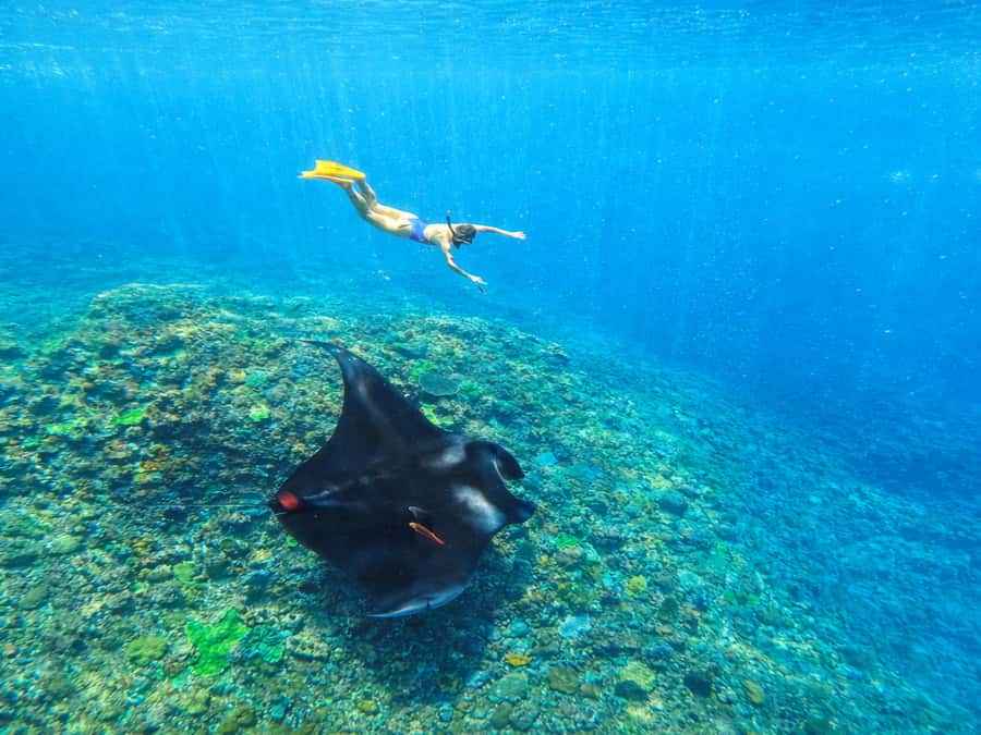 Nusa Penida: Snorkeling 3 Spots with GoPro & West Land Tour - Why this Nusa Penida combination makes sense