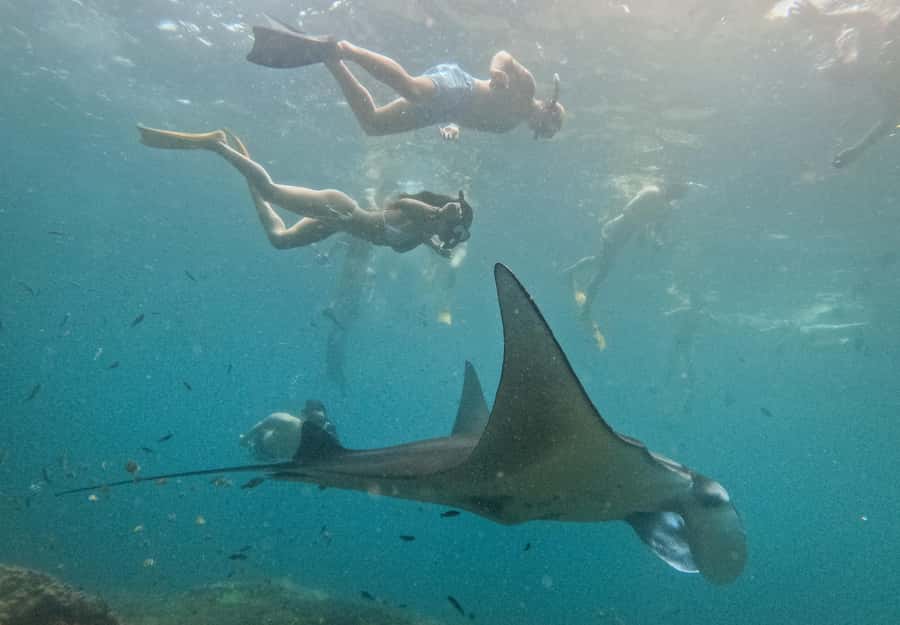 Nusa Penida: Snorkeling 3 Spots with GoPro & West Land Tour - Crystal Bay, The Wall, and SD Point
