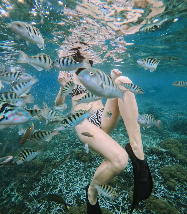 Nusa Penida: Snorkeling 3 Spots with GoPro & West Land Tour - Gamat Bay and the quieter underwater stops