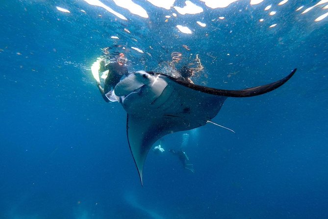 Nusa Penida Snorkeling Adventure (Private & All-Inclusive) - Crystal Bay, swimming, and the return schedule