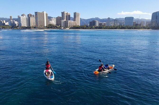Oahu 5-in-1 Deluxe Cruise: Turtle Snorkeling & Ocean Activities - Check-in at Kewalo Basin Harbor