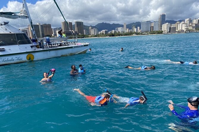 Oahu Catamaran Snorkel Tour: See Turtles 100% Guaranteed - Why Turtle Canyon is worth your morning