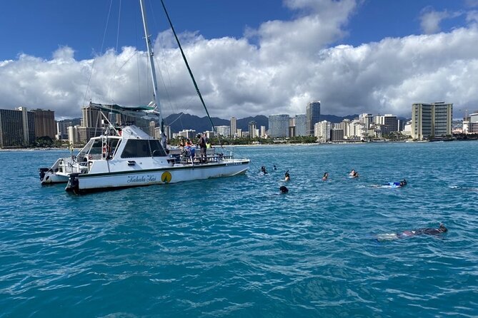 Oahu Catamaran Snorkel Tour: See Turtles 100% Guaranteed - What happens at Turtle Canyon Reef