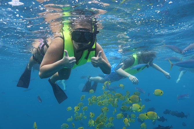 Oahu Dolphin and Snorkel Tour with Waikiki Pickup & Lunch - Searching West Oahu waters for spinner dolphins