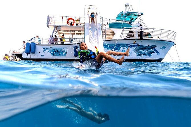 Oahu Dolphin and Snorkel Tour with Waikiki Pickup & Lunch - Snorkeling beside Hawaiian green sea turtles
