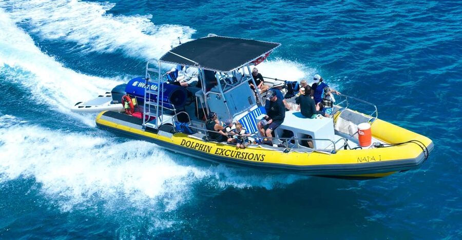 Oahu: Dolphin Swim and Turtle Snorkel Excursion in Waianae - Key points to know before you book