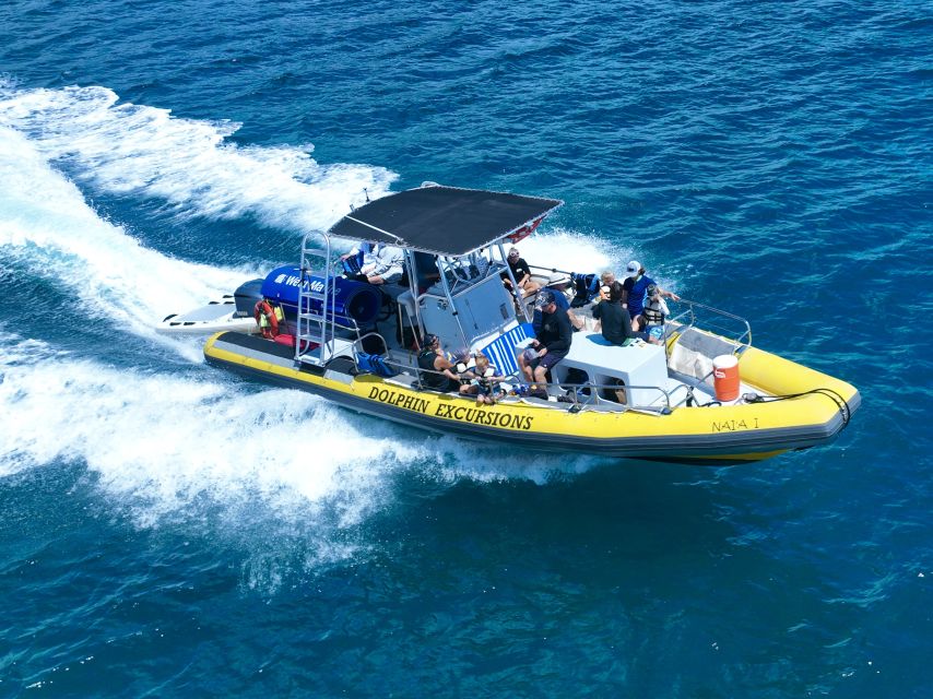 Oahu: Dolphin Swim and Turtle Snorkel Excursion in Waianae - Lunch, gear, and the small-group advantage