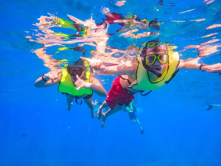 Oahu: Dolphin Watching & Turtle Snorkeling with Waterslide - How the crew shapes the experience