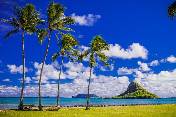 Oahu: Grand Tour Around Island 16 Locations plus Snorkeling - North Shore snorkeling and the reality of ocean conditions