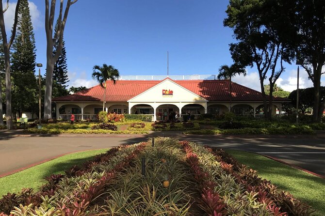 Oahu: Grand Tour Around Island 16 Locations plus Snorkeling - Diamond Head, Halona, and the southeastern coast