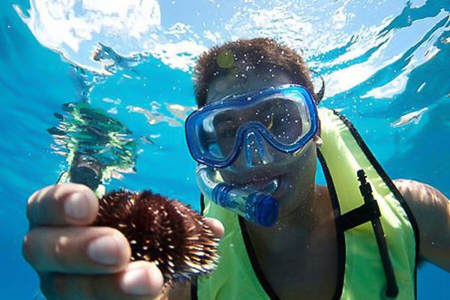 Oahu: Hilton Hawaiian Village Snorkel Tour - What the boat ride adds