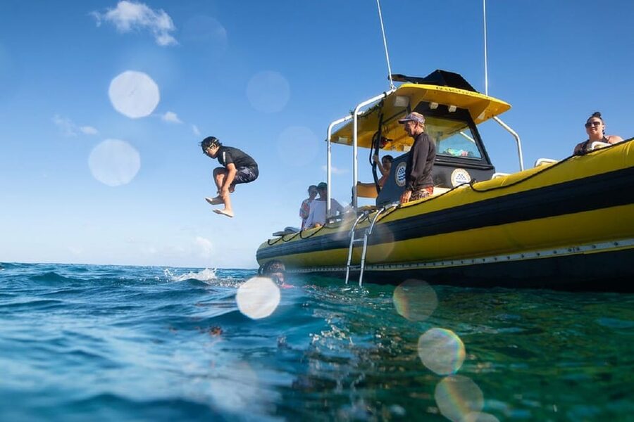 Oahu: North Shore Snorkeling Tour from Haleiwa - From Haleiwa Harbor to the Rambo II