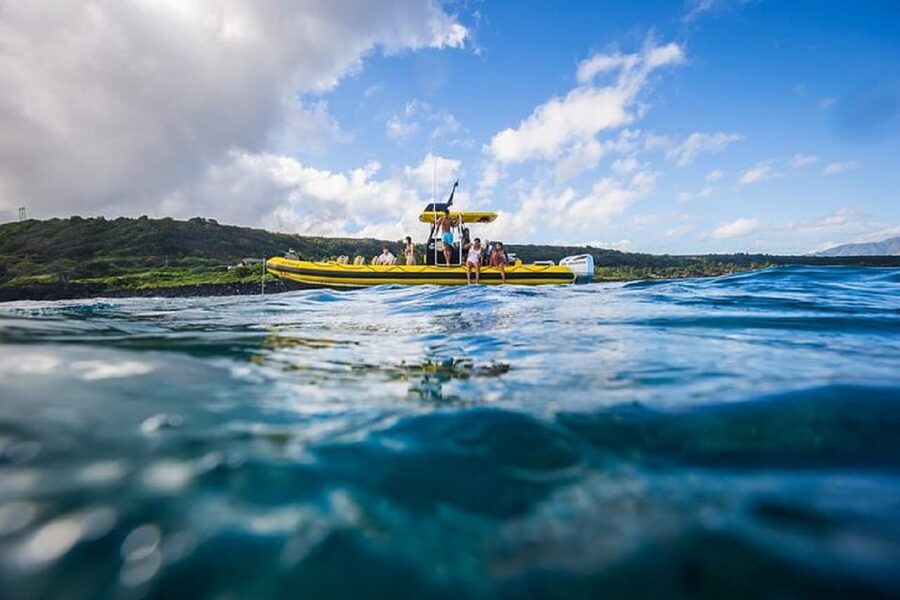 Oahu: North Shore Snorkeling Tour from Haleiwa - Snorkeling with turtles, fish, rays, and possible dolphins