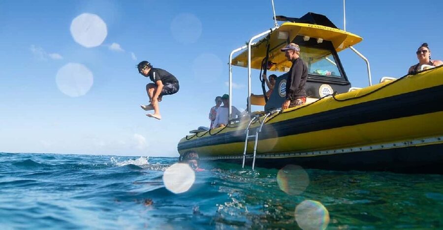 Oahu: North Shore Snorkeling Tour from Haleiwa - A hands-on guide style