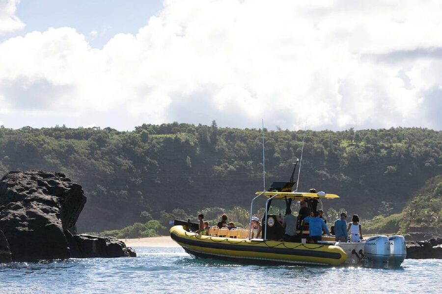 Oahu: North Shore Snorkeling Tour from Haleiwa - What the $110 price includes