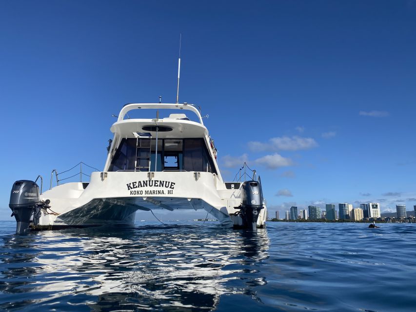 Oahu: Private Turtle Snorkeling with Customizable Itinerary - Should you book this private Turtle Canyon charter?