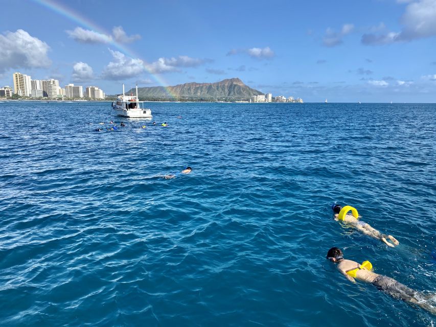 Oahu: Private Turtle Snorkeling with Customizable Itinerary - Diamond Head from the water