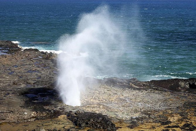 Oahu's Ultimate Tour: Dole, Turtle Snorkel, Pali Lookout & More - Turtle snorkeling at Haleiwa Beach Park
