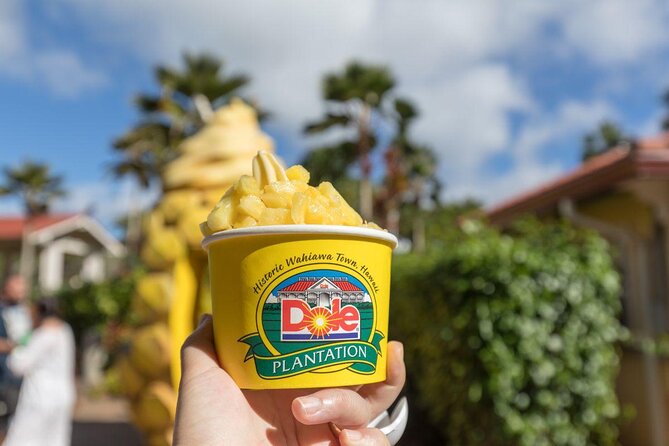 Oahu's Ultimate Tour: Dole, Turtle Snorkel, Pali Lookout & More - Dole Plantation and the final stretch