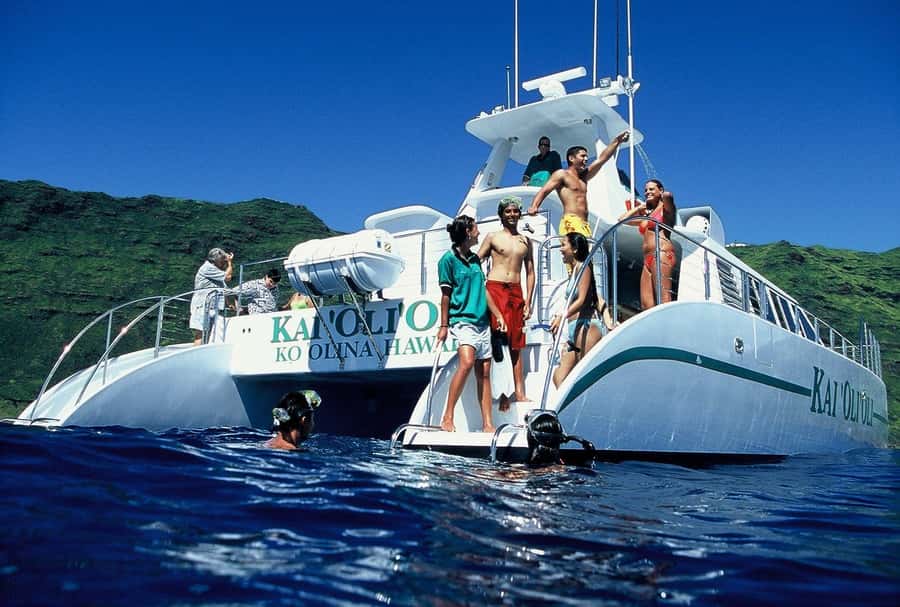 Oahu: Snorkeling & Dolphin Watch Cruise w/ Luau Style Buffet - Key points at a glance