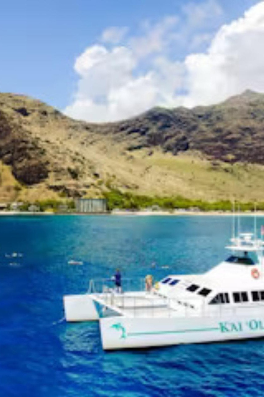 Oahu: Snorkeling & Dolphin Watch Cruise w/ Luau Style Buffet - A Hawaiian buffet with ocean views