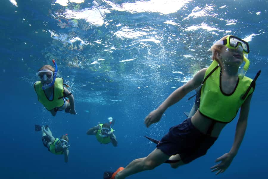 Oahu: Snorkeling & Dolphin Watch Cruise w/ Luau Style Buffet - Small details that make the day easier