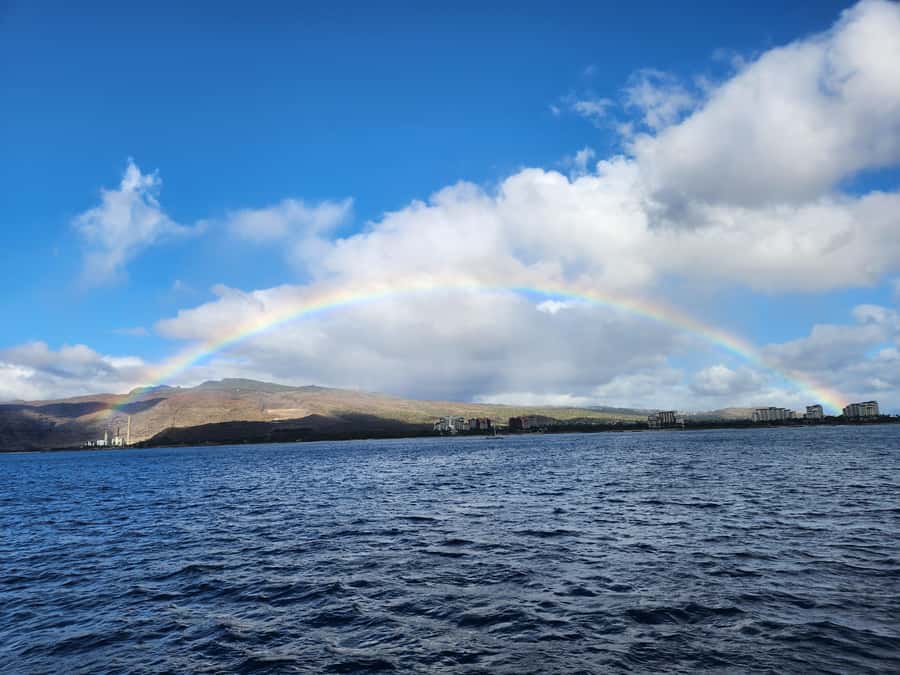 Oahu: Snorkeling & Dolphin Watch Cruise w/ Luau Style Buffet - The search for dolphins and seasonal whales
