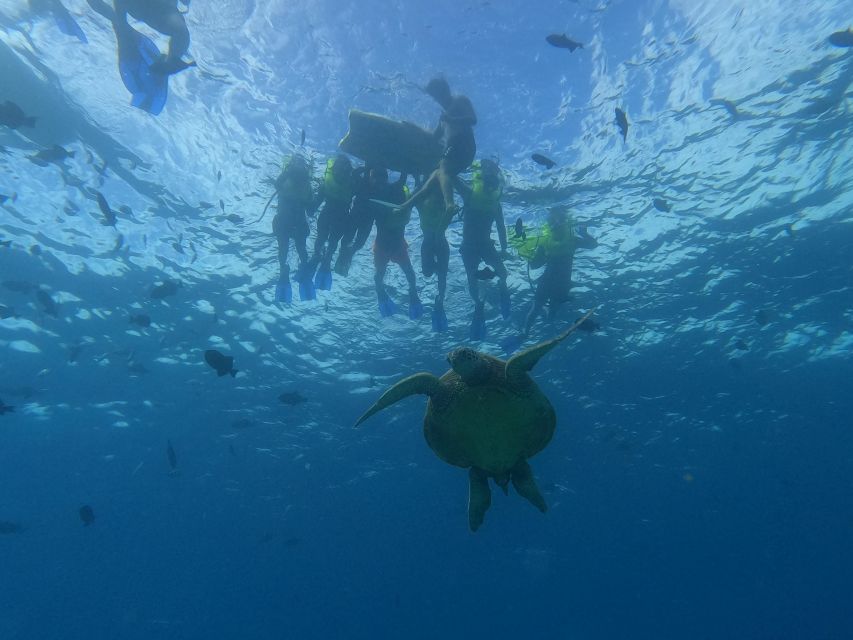 Oahu Snorkeling with Turtles, Water Scooter, Paddleboard - From Waikiki to Turtle Canyon