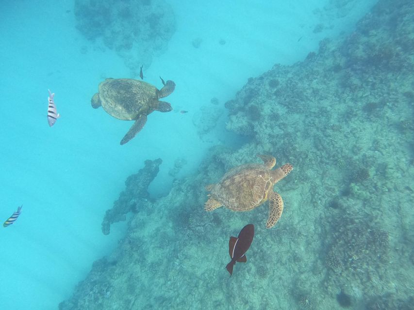 Oahu Snorkeling with Turtles, Water Scooter, Paddleboard - Trying the electric water scooter